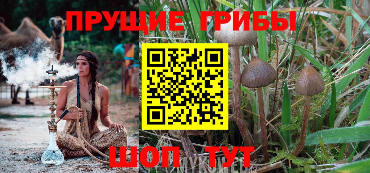 Галлюциногенные грибы мухоморы  Псилоцибиновые грибы Psilocybe  Вход с VPN  Пушкино 