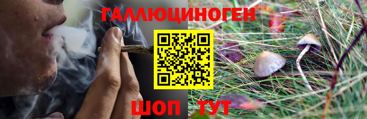 Галлюциногенные грибы MAGIC MUSHROOMS Пушкино